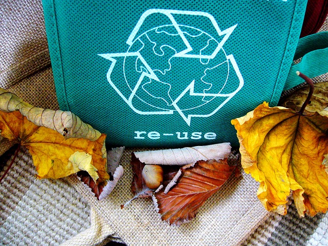 company recycling program